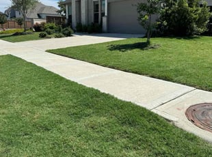 Ty C.'s Grass Cutting service result