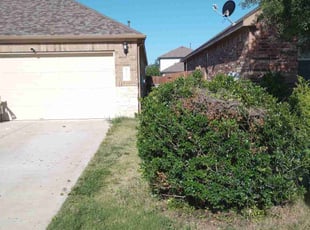 Bush Trimming by Derrick Dlouhy for Cristina S. in Leander, TX