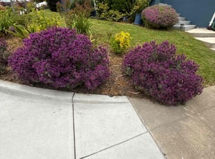 Tony L.'s Lawn Care service result