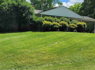 Lois G.'s Lawn Maintenance service result