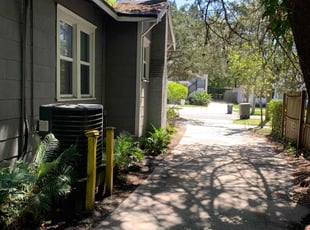Bush Trimming by Naturallyp Bonsell jr for Cydney J. in Jacksonville, FL