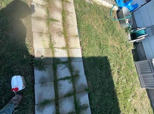 Weeding by Bobby Green for Elizabeth W. in Buda, TX