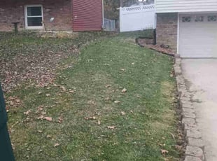 Tiffany W.'s Yard Cutting service result