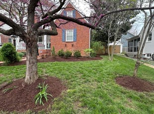 Mulching by Jose M Rodriguez for Colleen Y. in Arlington, VA