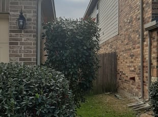 Bush Trimming by Eric Ramirez for Mark Q. in Houston, TX