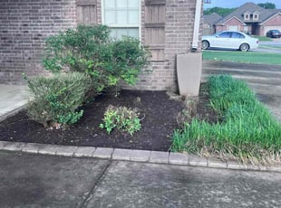 Weeding by James Doss for Michael B. in Fayetteville, AR