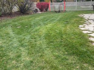 Brandon K.'s Lawn Service service result