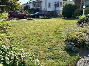 Janet G.'s Lawn Mowing Service service result