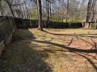 Leaf Removal by Daniel Burse for Nicki P. in Austell, GA