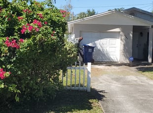 Tamara H.'s Bush Trimming service result