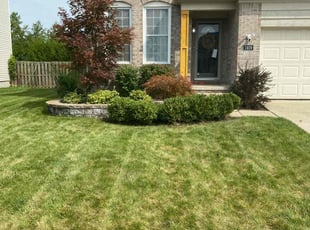 Dennis K.'s Lawn Mowing service result