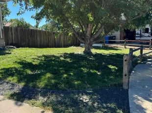 Rich M.'s Lawn Maintenance service result