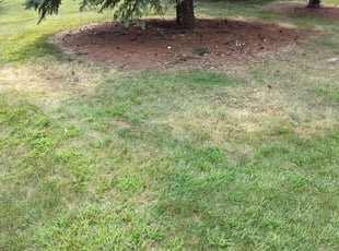 Cleanups by Jackie Lindfors for Oladimeji O. in Ramsey, MN