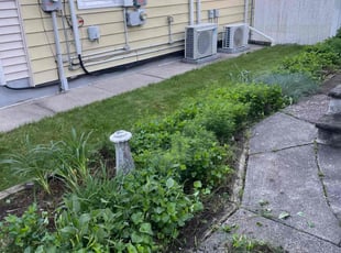 Weeding by Nelson Guerrero for Edward F. in Lodi, NJ