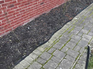 Weeding by Shane Fellers for Abe E. in Canton, MI