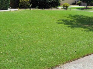 Ian S.'s Lawn Service service result