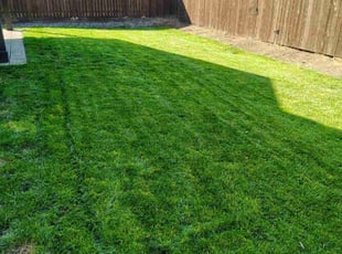 Sarah B.'s Lawn Service service result
