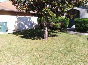 Sarah V.'s Bush Trimming service result
