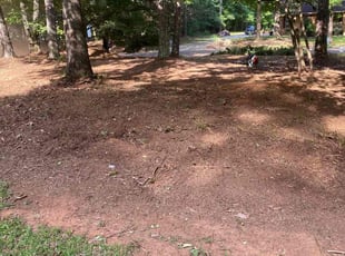 Leaf Removal by Miguel Vega for Valerie M. in McDonough, GA
