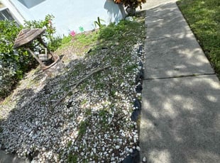 Weeding by Edgar Camacho-Rebollar for Myrna L. in Port St. Lucie, FL