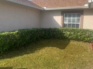 Bush Trimming by Jr Valle for Elizabeth K. in Palm Coast, FL