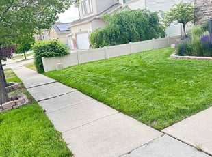 Liz C.'s Lawn Mowing service result