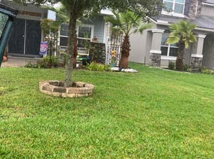Shaun S.'s Grass Cutting service result
