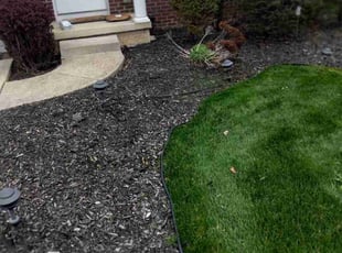 Weeding by Joe Ziz for Jennifer B. in Berea, OH