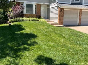 Julie D.'s Yard Cutting service result