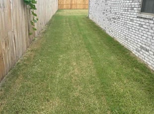 Kimberley M.'s Lawn Maintenance service result