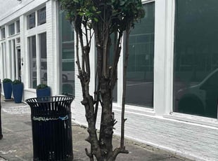 Bush Trimming by Ian Jackson for Dundalan S. in Atlanta, GA