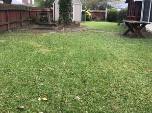 Cleanups by Mark Brague for Allen A. in Virginia Beach, VA