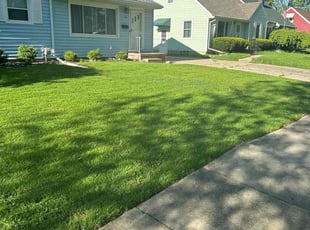 Tyler J.'s Lawn Mowing Service service result