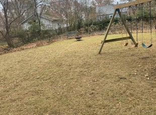 Leaf Removal by Dashawn Willis for Eerin R. in Columbus, OH