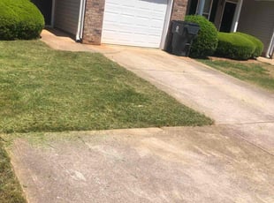 Rose R.'s Lawn Mowing Service service result