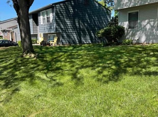 Teresa H.'s Lawn Care service result
