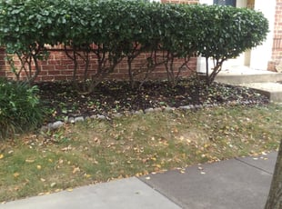 Bush Trimming by Jim Crossett for Merissa A. in Chantilly, VA