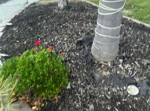 Landscaping by Nicole Smith for Marie W. in Discovery Bay, CA