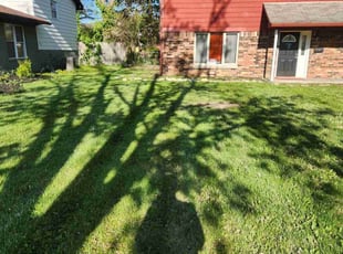 Cleanups by Chad Mann for Brian P. in Indianapolis, IN