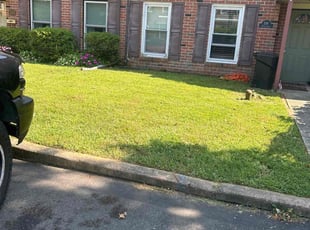 Sheila D.'s Lawn Service service result