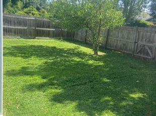 Christian S.'s Lawn Service service result