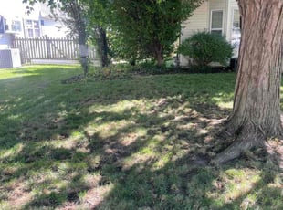 Cleanups by Jose Sanchez for April G. in Naperville, IL