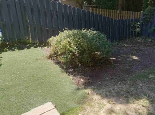 Bush Trimming by Lee Ann Ciuca for Trinity F. in New Kensington, PA