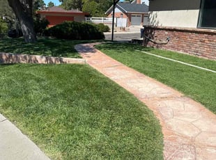 Carolyn B.'s Lawn Maintenance service result