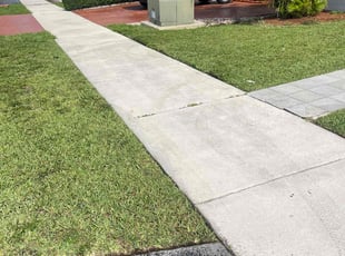 Alex G.'s Lawn Care service result