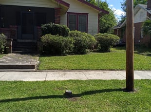 Bush Trimming by Horace Swann for Jeanne
S. in Jacksonville, FL