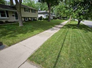 Lillian L.'s Lawn Care service result