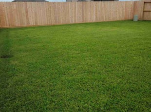 Nicholas N.'s Lawn Service service result