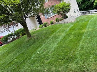 Gail G.'s Lawn Care service result