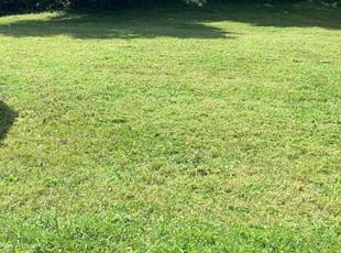 Debra B.'s Lawn Care service result
